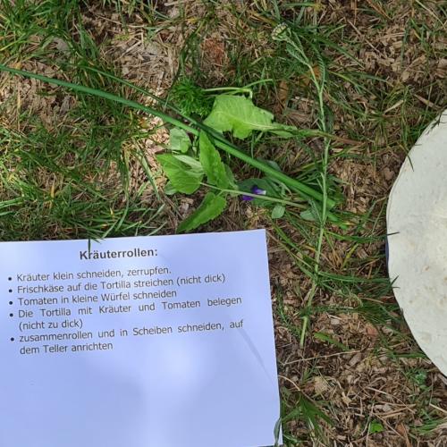 Kochen mit den gesammelten Kräutern