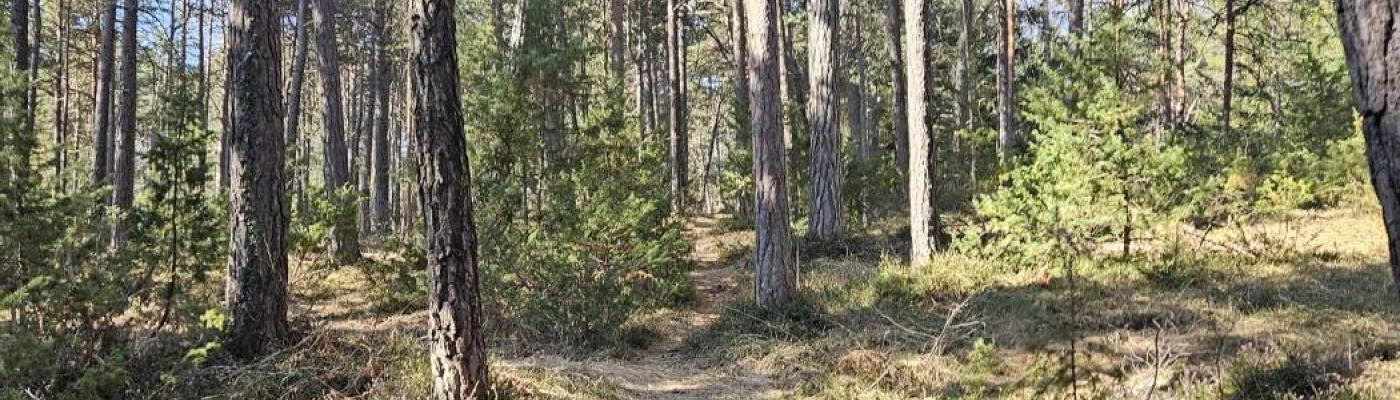 Naturfreunde1
