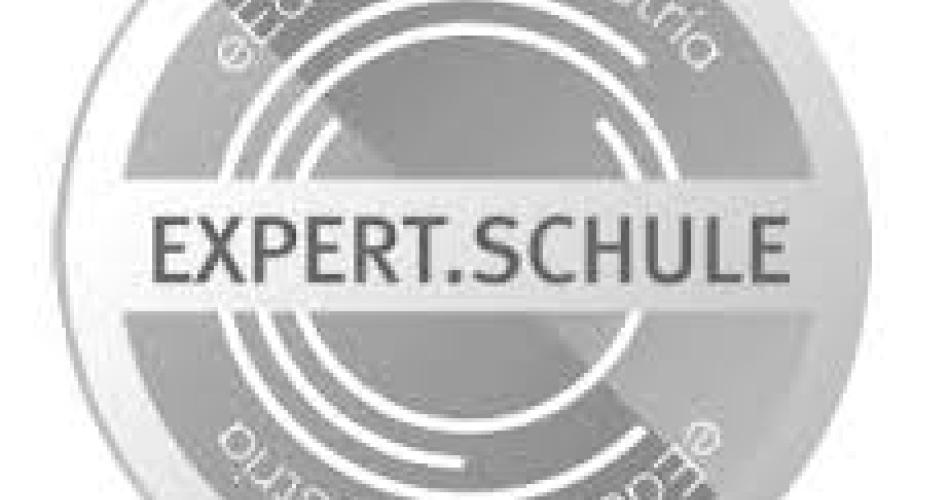 expert logo