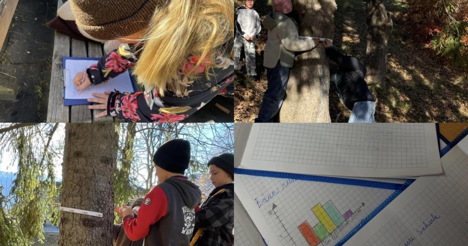 Mini-Projekt Bäume01