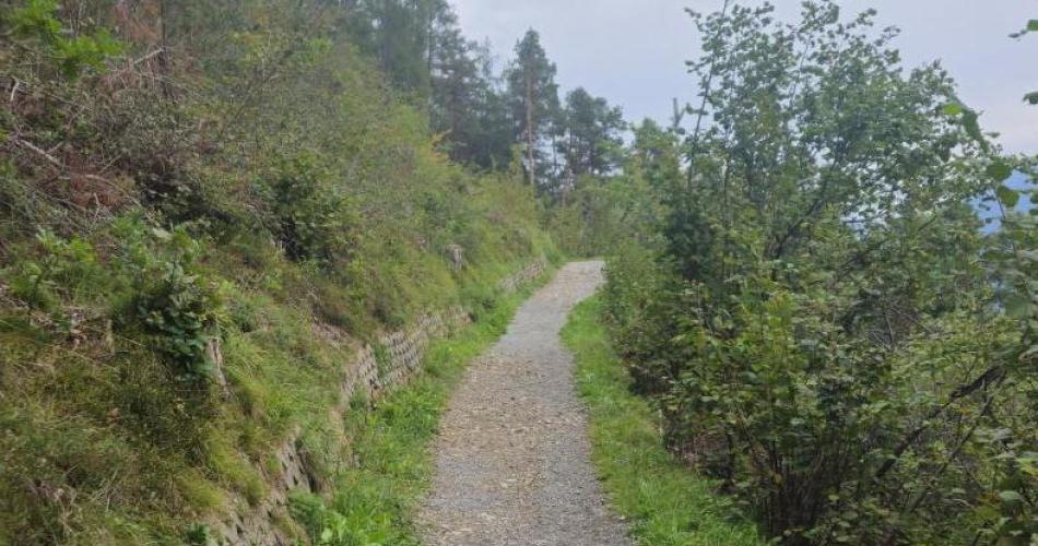 Wandertag2b1