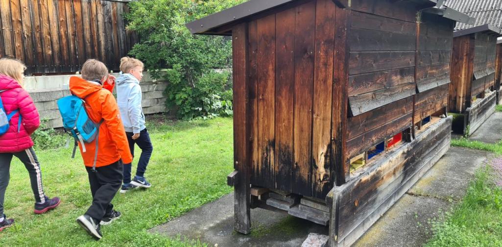 Auf zu den Bienen Bienenstock