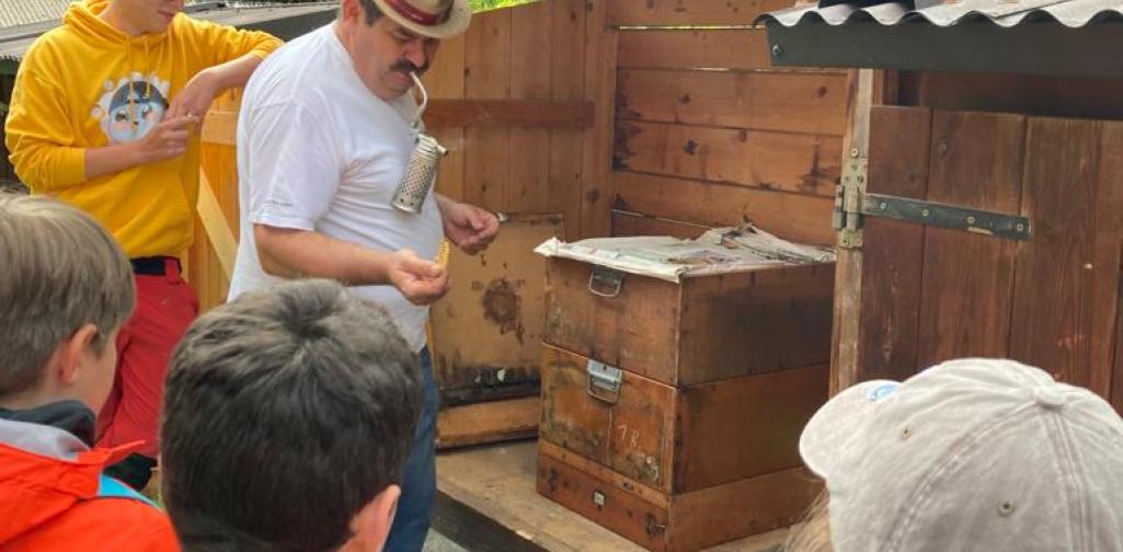 Bienenkasten Schaubienenkasten