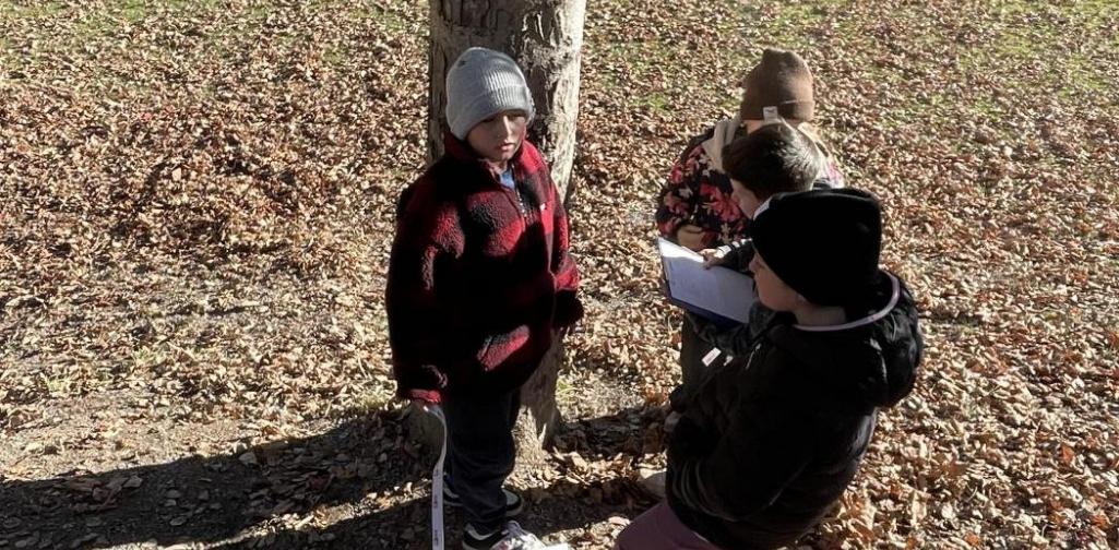 Mini-Projekt Bäume 4