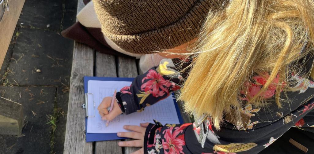 Mini-Projekt Bäume 3