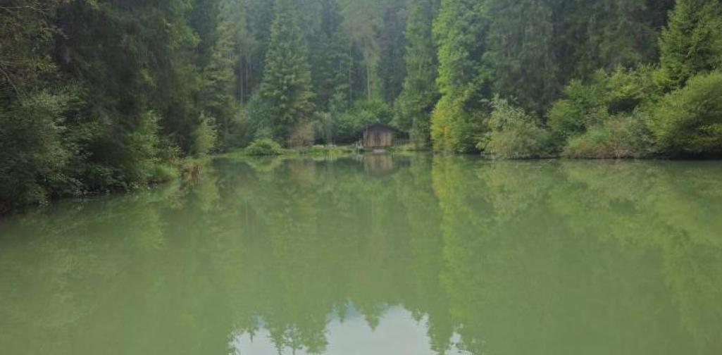 Wandertag2b4